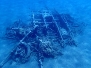 Theodorou Island-Glaronisi island-Lazareta Cruise - Image 2